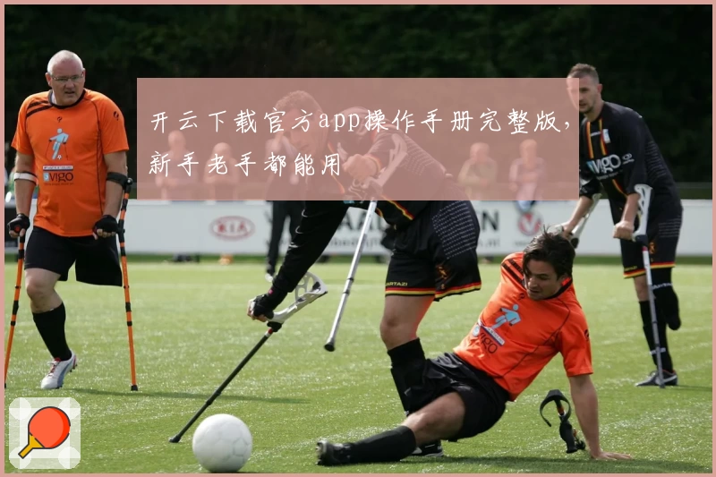 开云下载官方app操作手册完整版，新手老手都能用