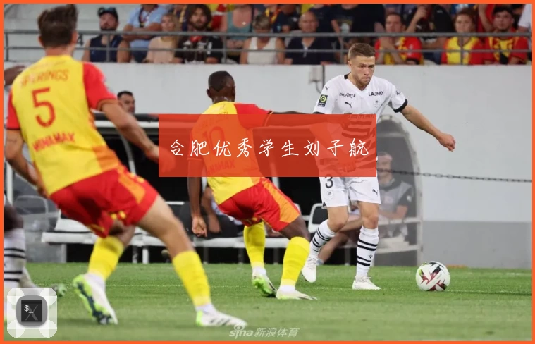 合肥优秀学生刘子航