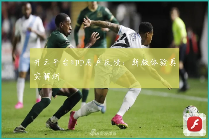 开云平台app用户反馈，新版体验真实解析