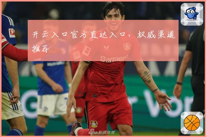 开云入口官方直达入口，权威渠道推荐