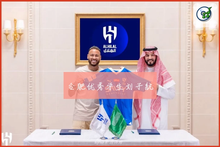 合肥优秀学生刘子航